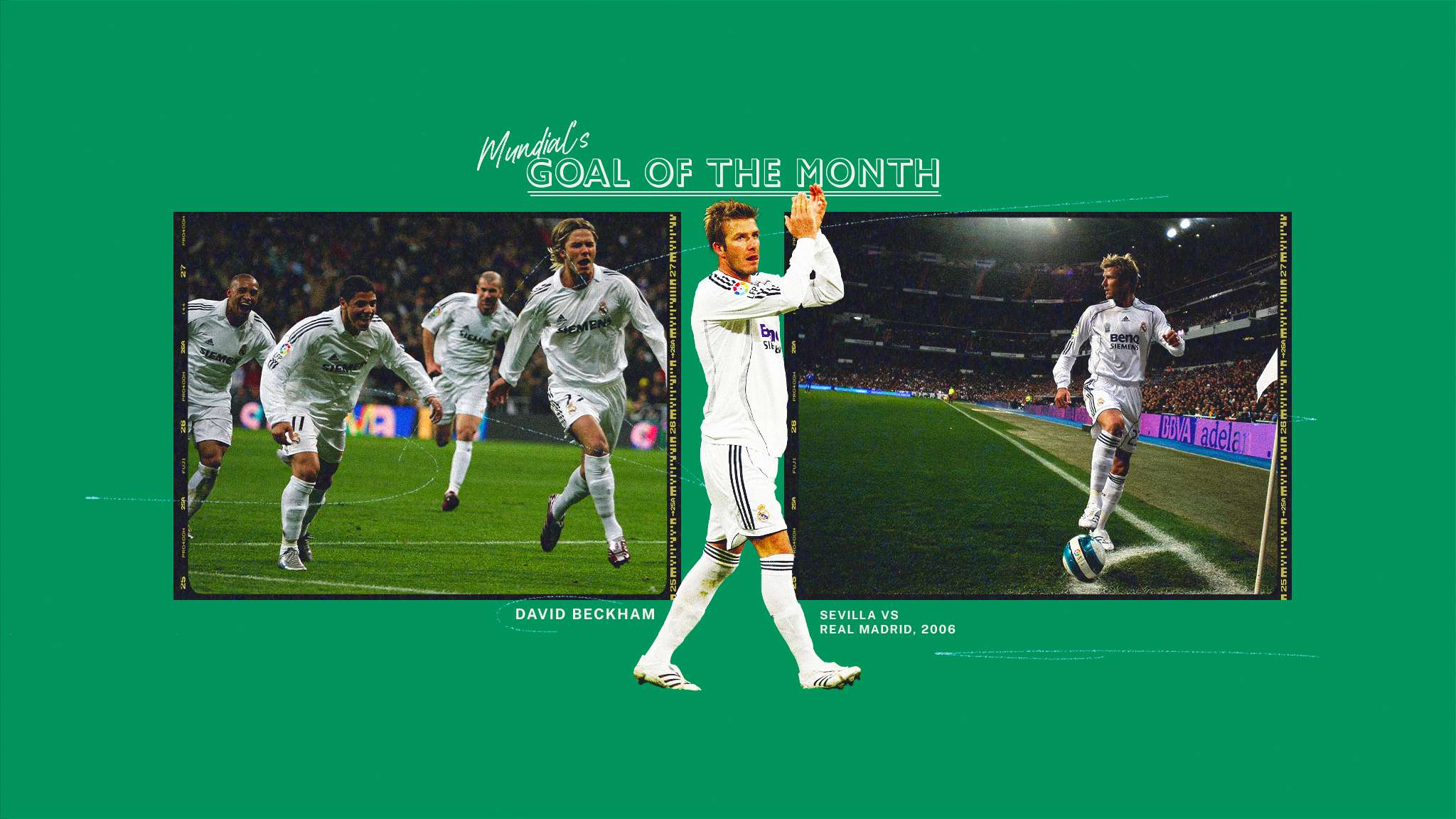 能够在对方 能够在对方