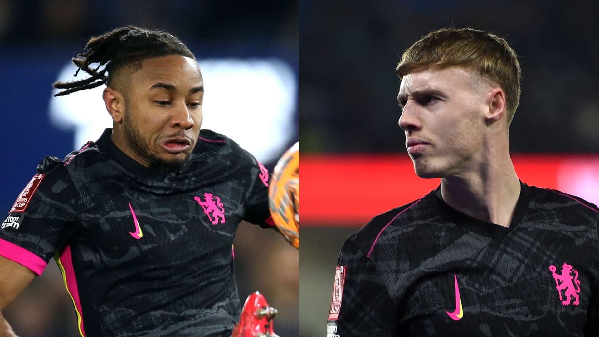 这种从容不 这种从容不